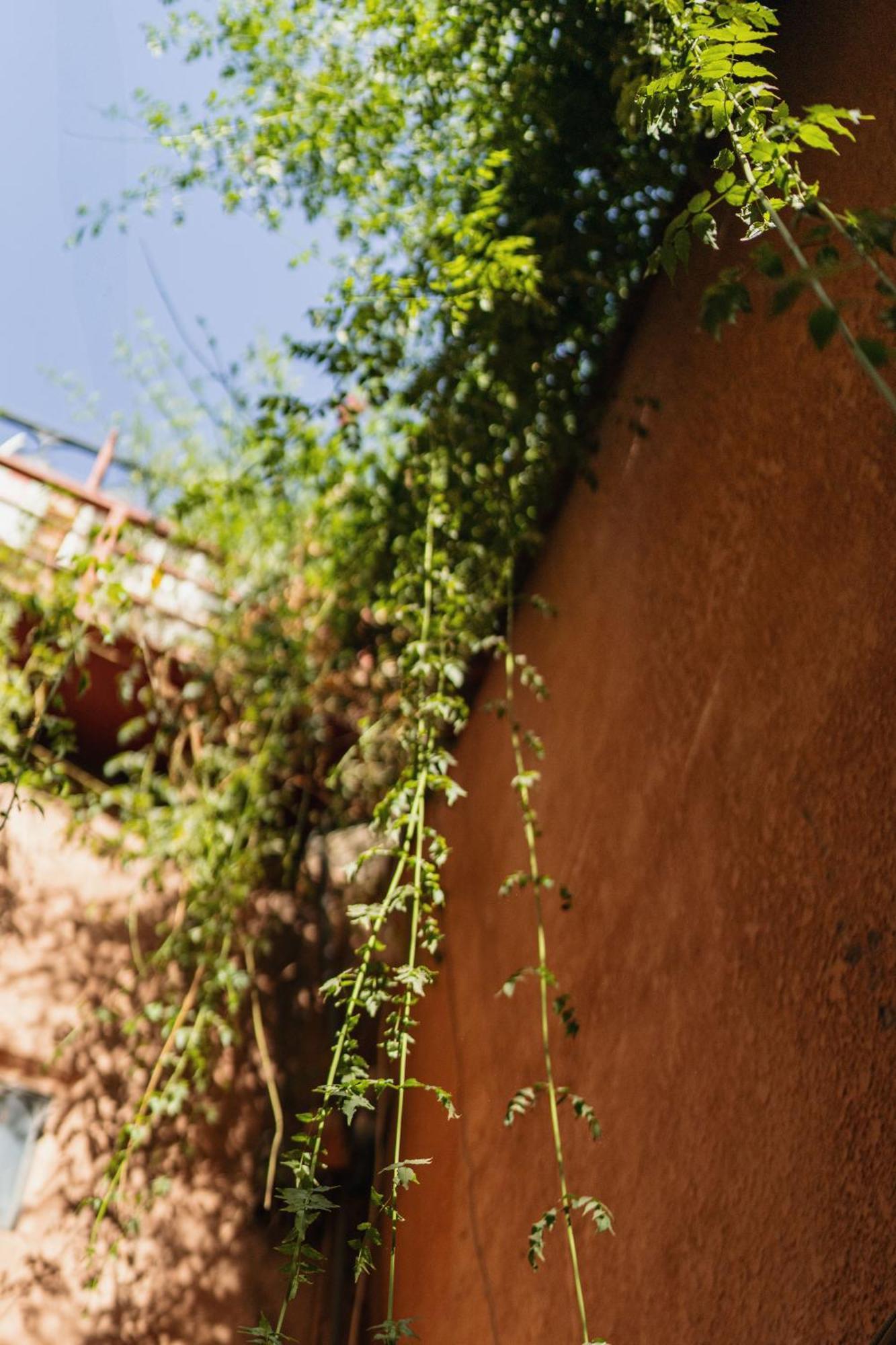 Riad Senja Маракеш Екстериор снимка